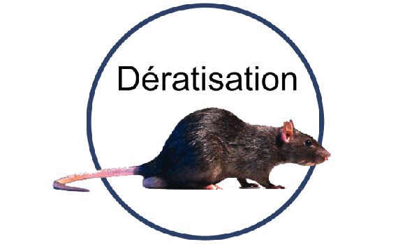 Dératisation rats et souris à Rabat
