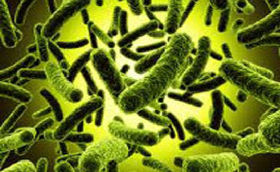 Désinfection et traitement bactériologique à Rabat